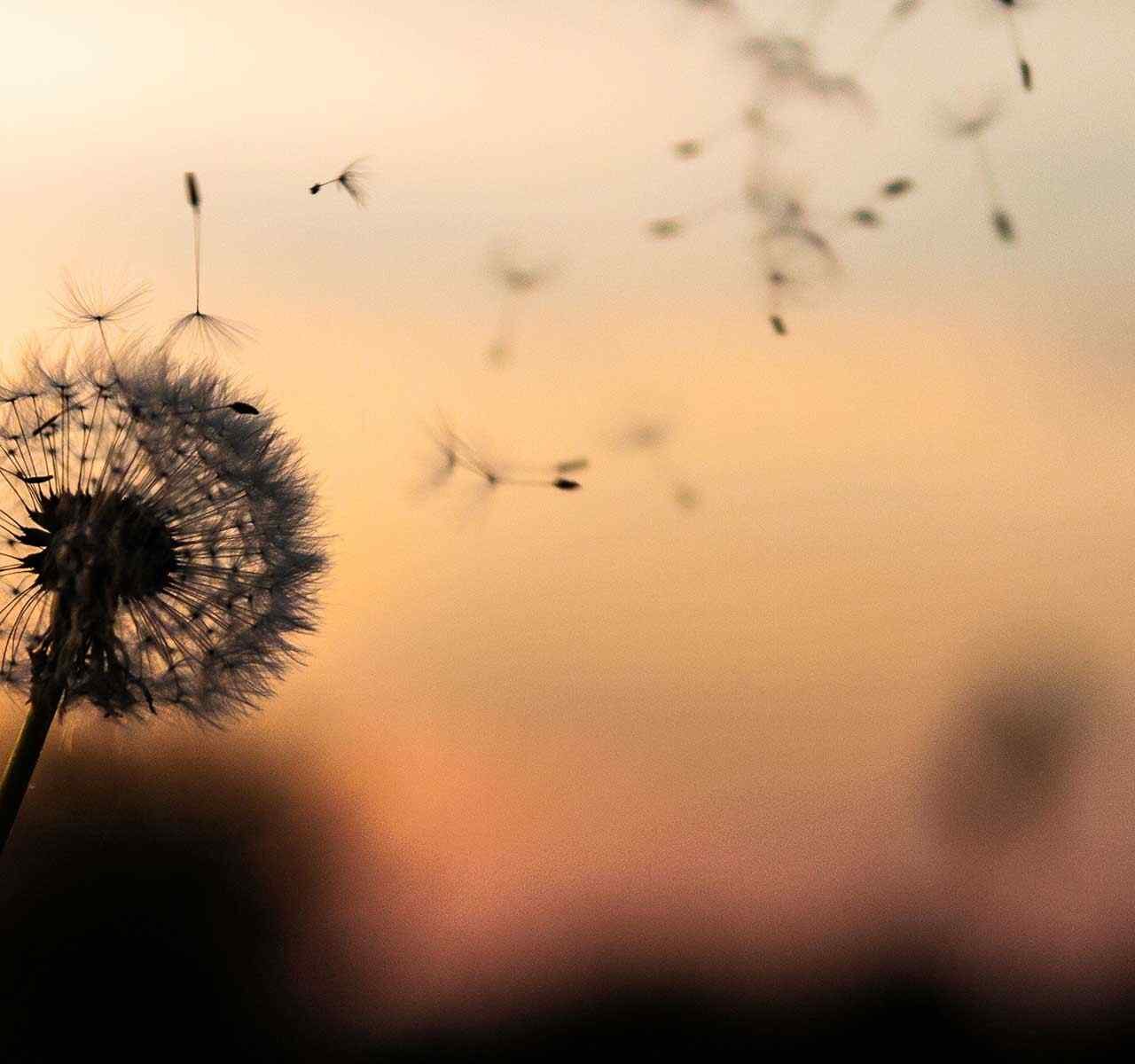 https://www.deallegal.it/wp-content/uploads/2018/09/post_02-1280x1200.jpg
